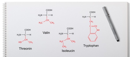 Essentielle Aminosäuren- Isoleucin Valin Threonin Tryptophan