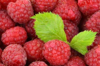 himbeeren-das-obst-zum-abnehmen-in-der-low-carb-diät