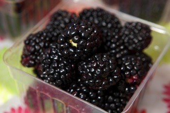 Brombeeren-das-obst-zum-abnehmen-in-der-low-carb-diät